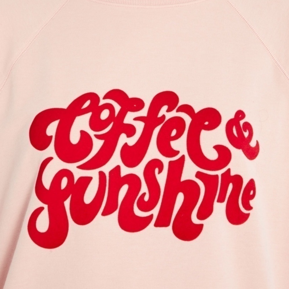 WILDFOX Coffee & Sunshine oversized baggy statement sweatshirt - Picture 6 of 8